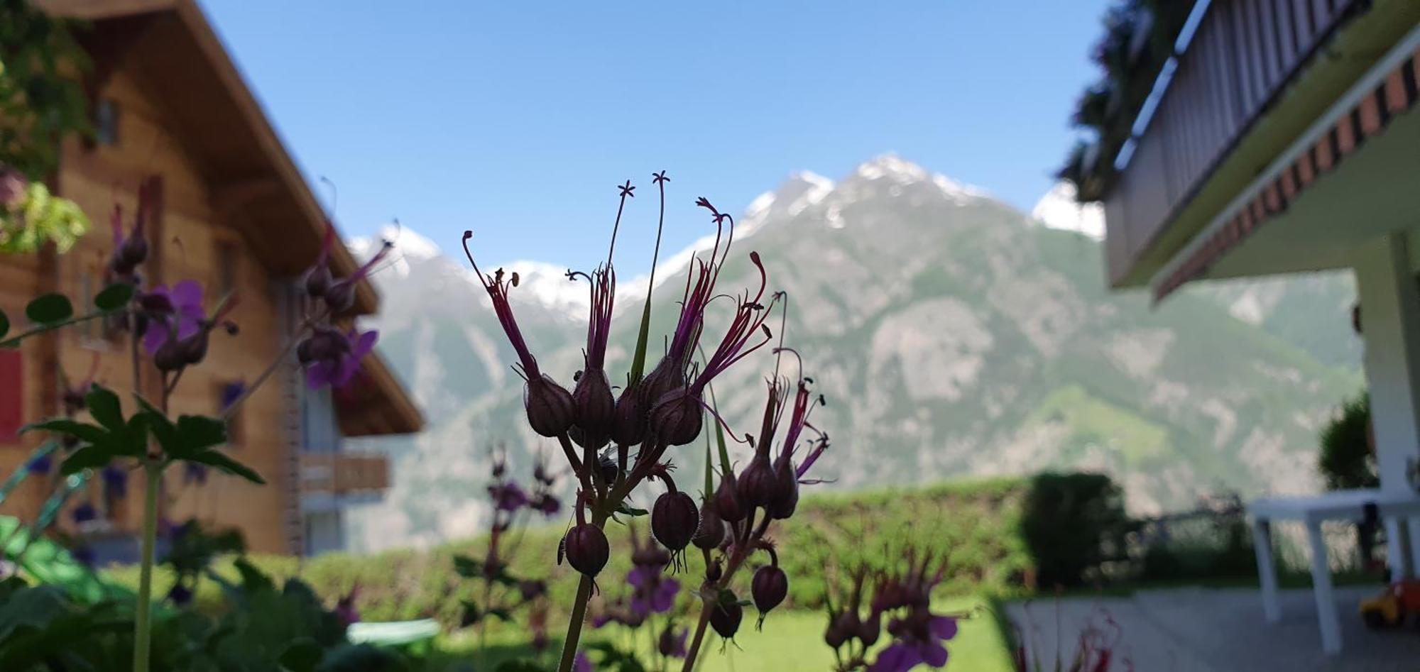 Chalet Schneevogul Grachen Luaran gambar